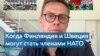 Бывший премьер-министр Финляндии Стубб: «Вступление Финляндии и Швеции в НАТО – это попытка защитить себя» 