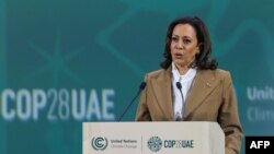 Вице-президент США Камала Харрис выступает на климатическом саммите ООН COP28 в Дубае. 2 декабря 2023 года.