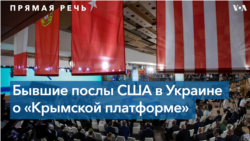 «Крымская платформа»: мнение бывших послов США в Украине