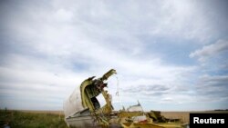 На месте падения пассажирского авиалайнера MH17 в Донецкой области Украины. 21 июля 2014 г.