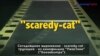 «Английский как в кино»: scaredy cat