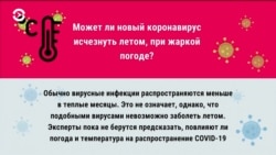 Когда эпидемия нового коронавируса пойдет на спад?