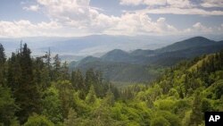 Боржоми-Харагаульский заповедный парк