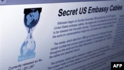 Белорусские Wikileaks: вымысел КГБ или реальность?